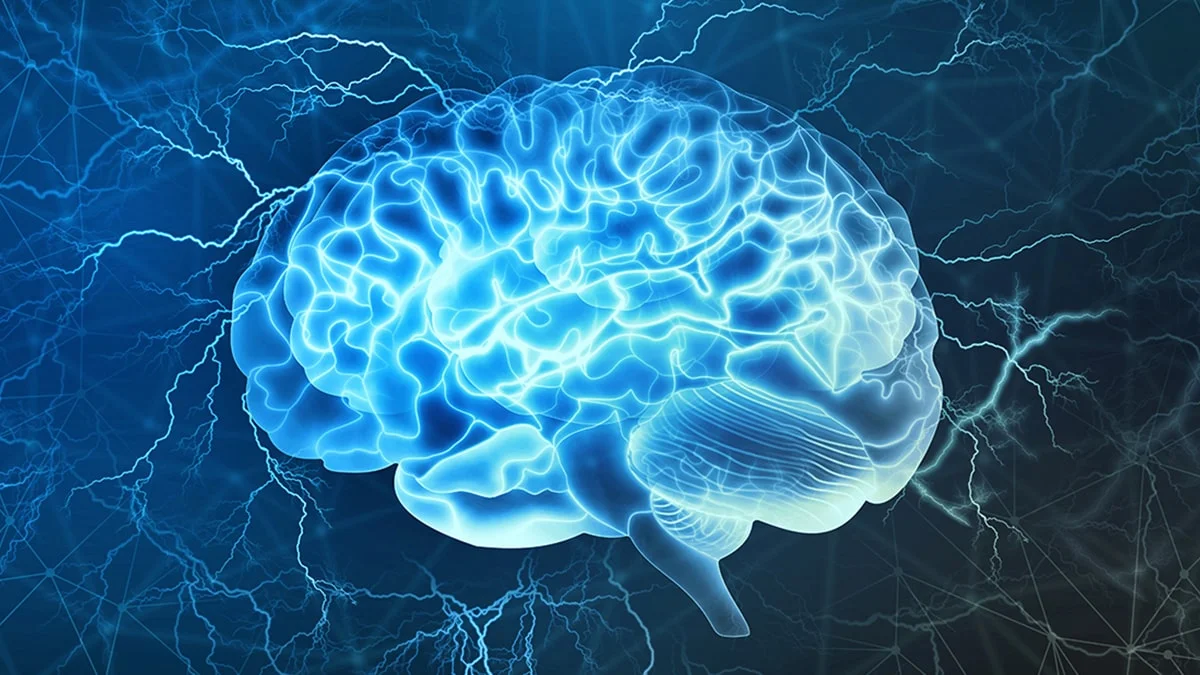 روش های درمان بیماری های مغز و اعصاب - دکتر.  چیست یزدی