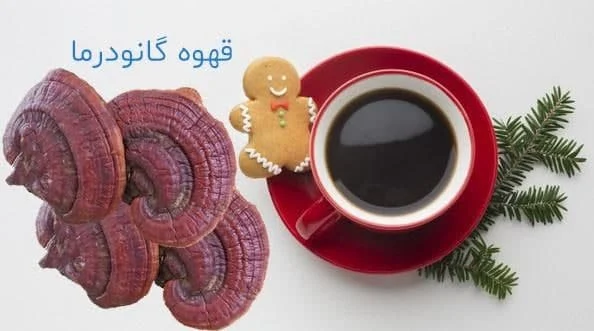 گانودرما