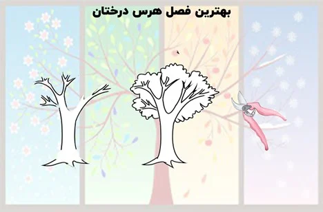 علمی