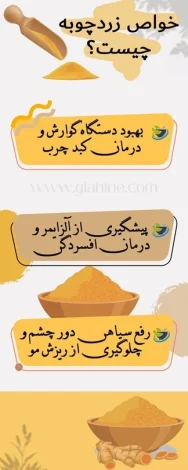 علمی