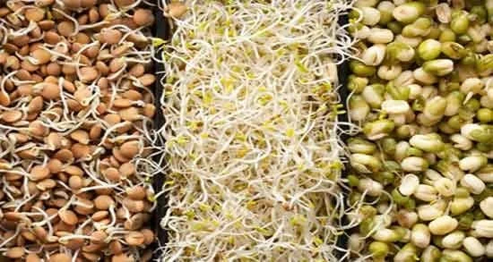 علمی