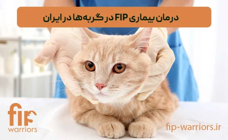 علمی