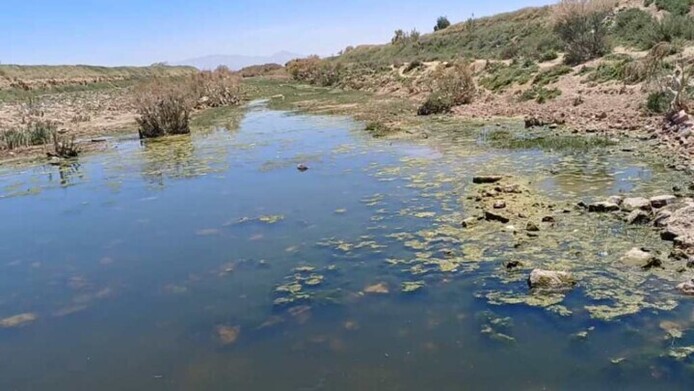 فارس آب های آلوده به فاضلآب در شرق شیراز
