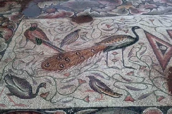 ساختمان